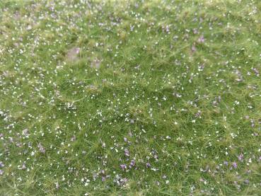 Naturwiese niedrig, Herbst